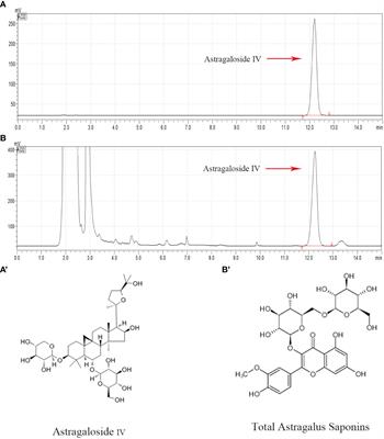 Total Astragalus saponins can reverse type 2 diabetes mellitus-related intestinal dysbiosis and hepatic insulin resistance in vivo